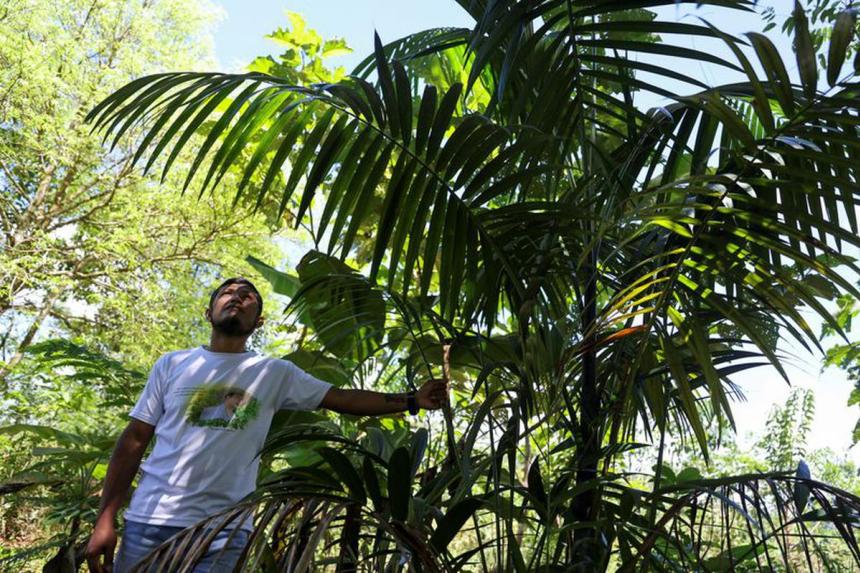How campaigners' slayings hurt environmental protection in Colombia