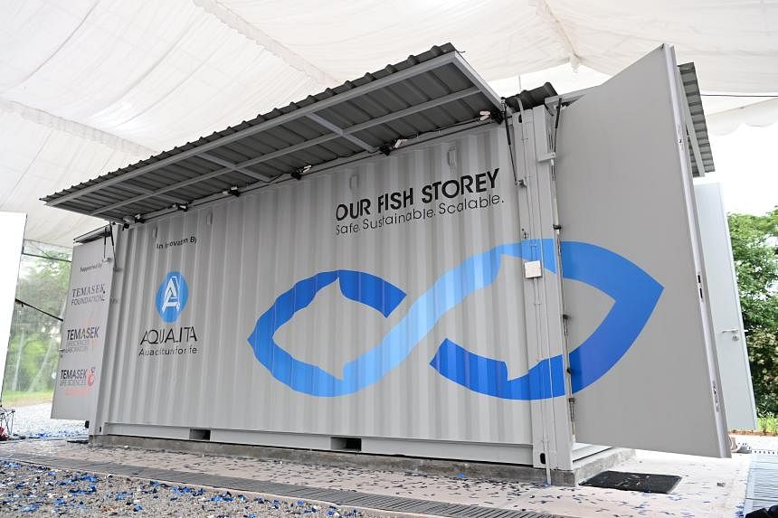 Singapore's first urban fish farm in a container launched in
