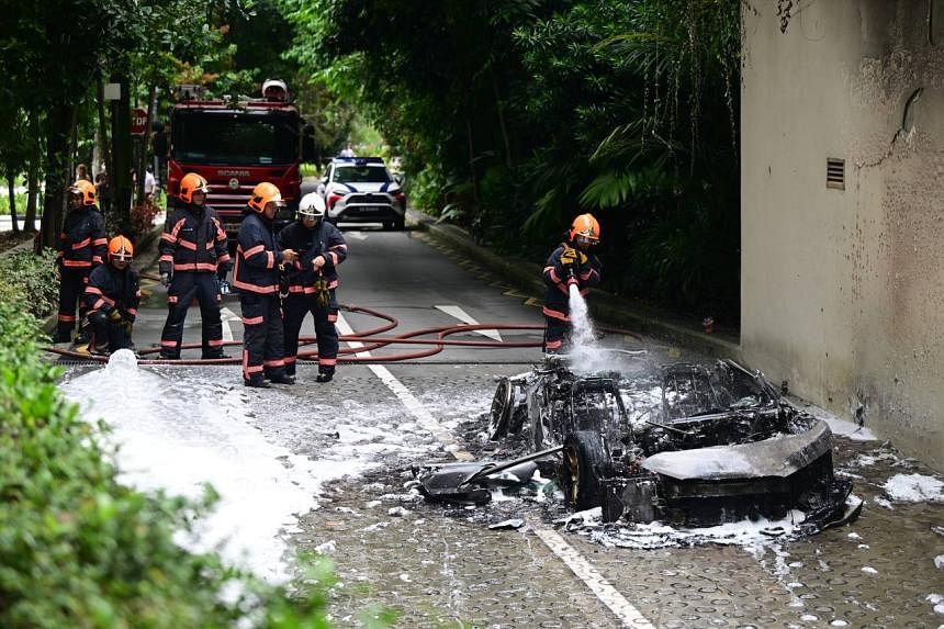 Carpark at Botanic Gardens closed after car catches fire; no injuries reported