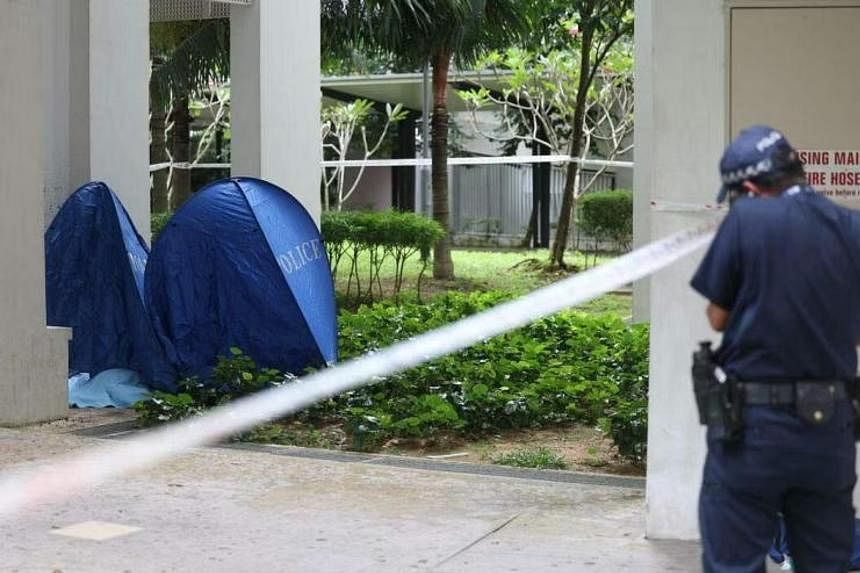 Tragic Incident Unfolds: Woman and Baby Found Dead in Ghim Moh