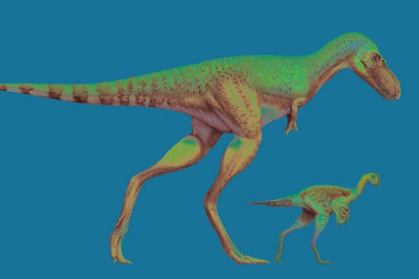 Fossils show dismembered young dinosaurs in belly of T-Rex cousin | The ...