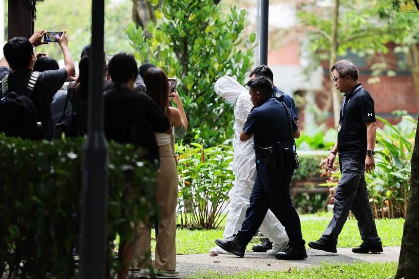 Woman found dead in Bukit Batok flat: Man, 65, to be charged with ...