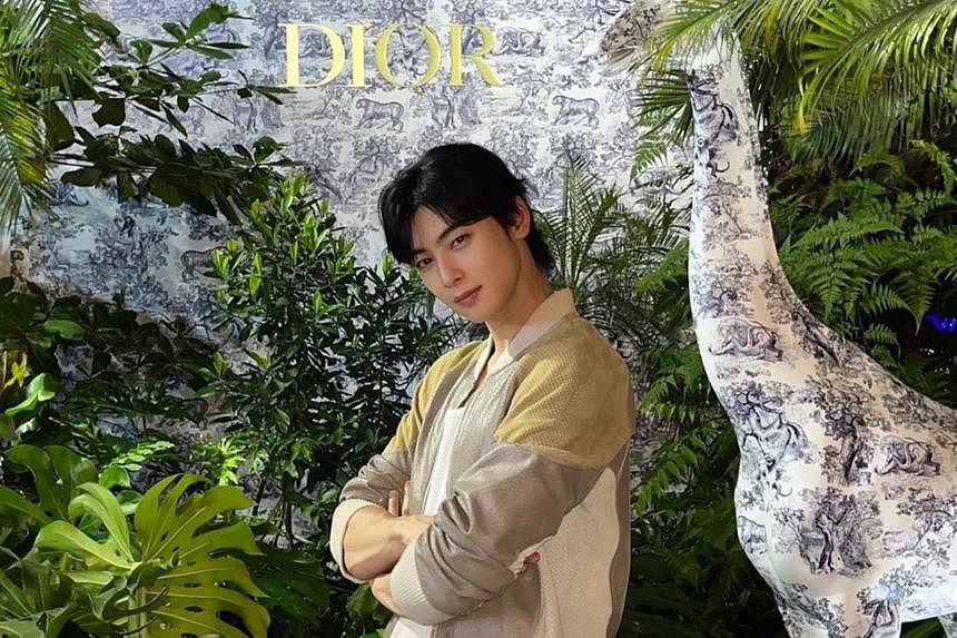 K idol Cha Eun woo to hold first solo fan concert in Singapore