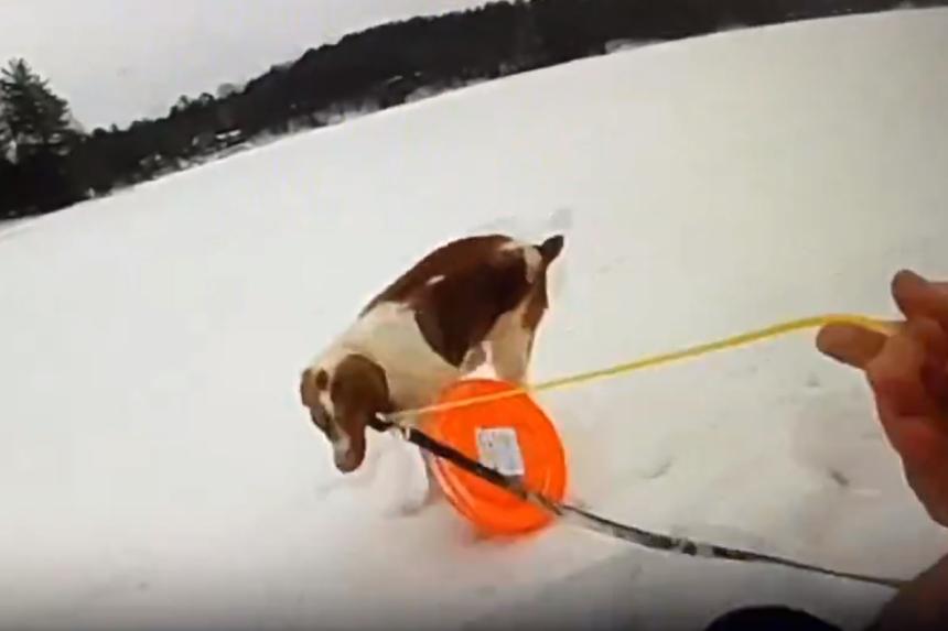 Michigan dog helps police officer rescue its owner who fell into frozen