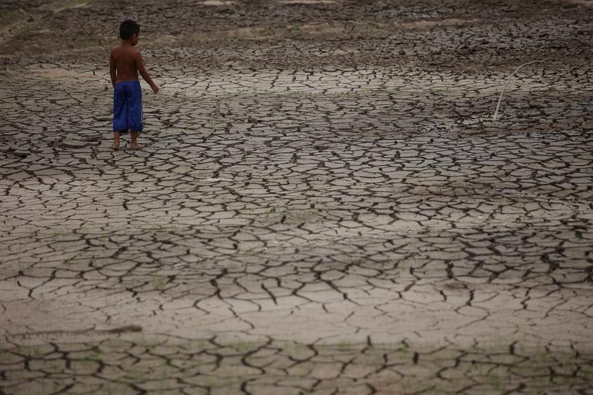 Severe Amazon Drought Was Made 30 Times More Likely By Climate Change ...