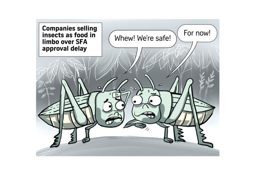 A Cartoonist’s View: Cel Gulapa, Jan 30, 2024 | The Straits Times