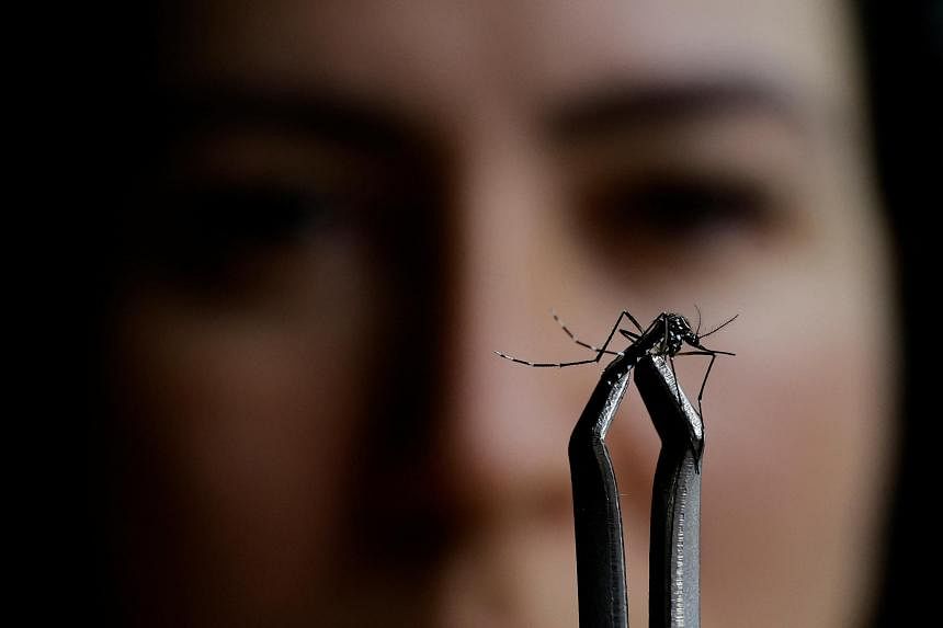 Dengue fever becoming big problem in Thailand, over 8,000 infected in January