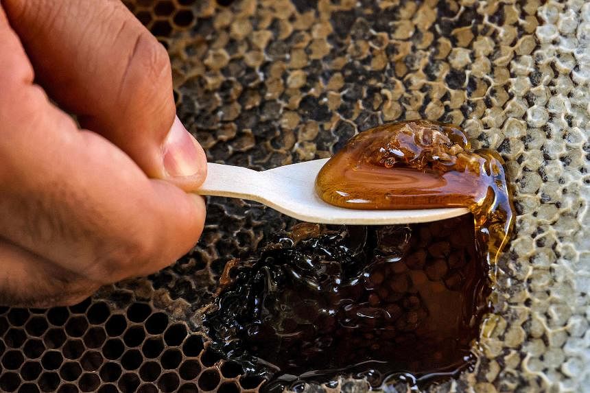 专家称，马来西亚销售的蜂蜜中高达 90% 是人造蜂蜜 | 海峡时报