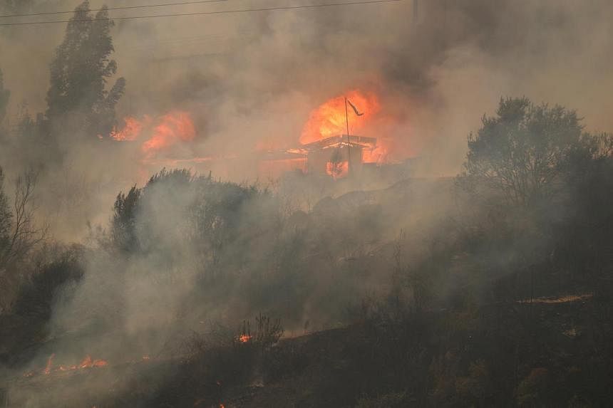 Chile corre riesgo de un resurgimiento de incendios forestales debido al cambio climático, dice informe