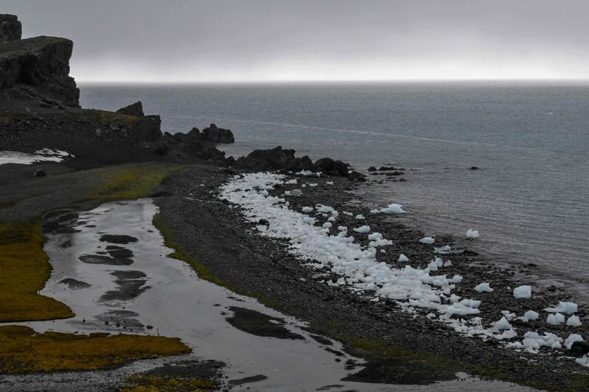 ‘Very worried’: Scientists fret as Antarctic sea ice dwindles