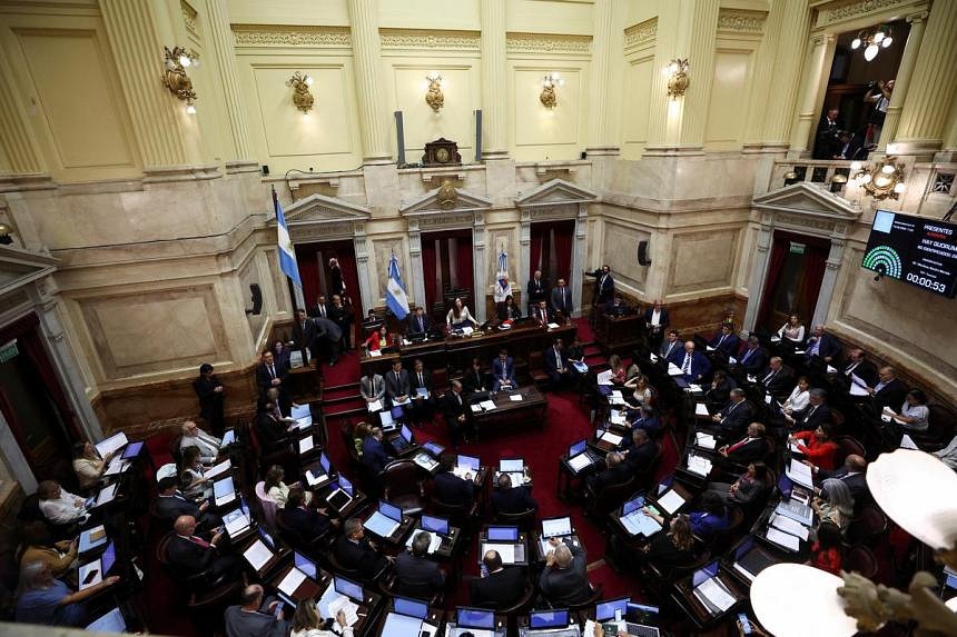 Argentina Senate Rejects Economic 'mega Decree' In Blow For Milei | The ...