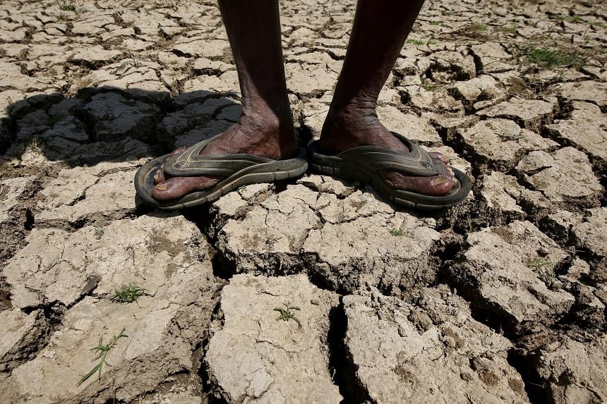 In Pictures: India’s water crisis | The Straits Times