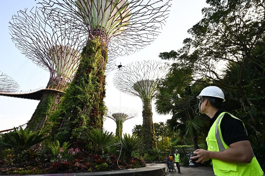 Gardens by the bay shops drone