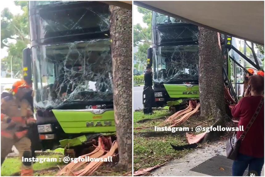 SMRT bus driver, 58, dies after crashing vehicle into tree in Woodlands ...