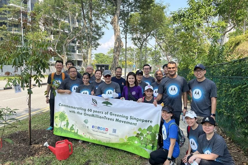 Motorola Solutions employees at OneMillionTrees programme