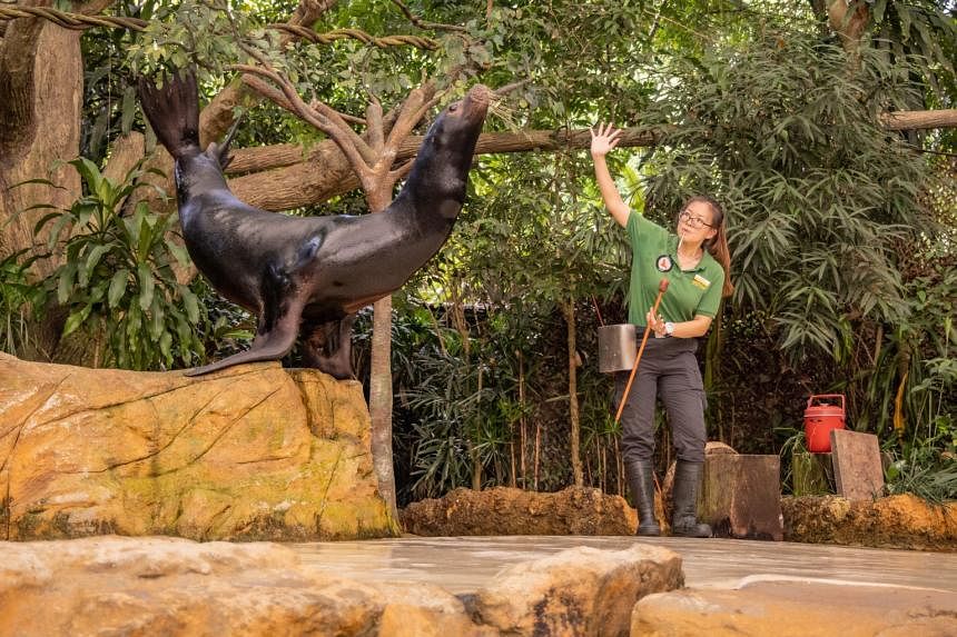 How animal trainer-presenter found her passion as a wildlife champion ...