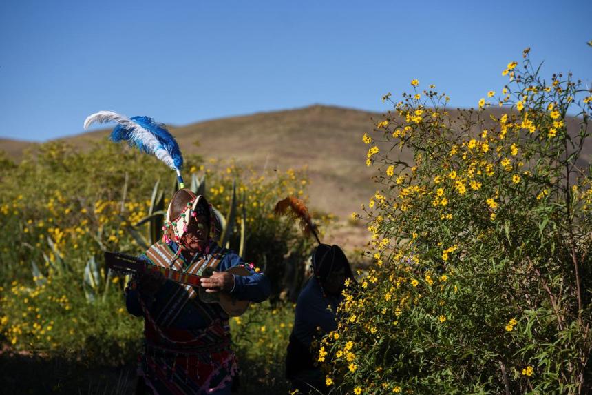 Ritual Combat In Bolivia's Andes, neighbors settle disputes with Tinku ritual combat ...