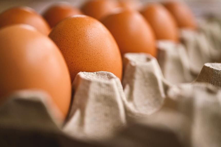 马来西亚新补贴计划实施 鸡蛋价格下调 3 美分
