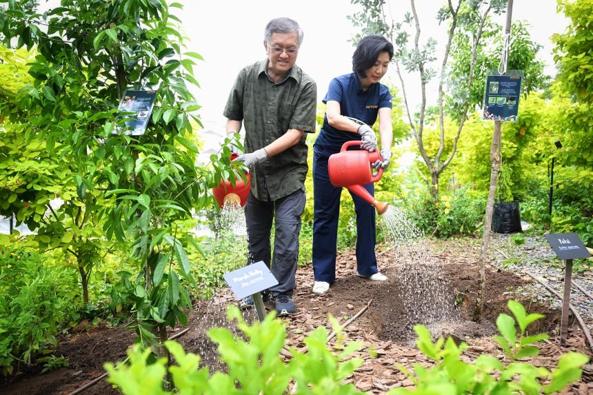 ‘Hawker centre’ for butterflies: Sentosa’s new green corridor to grow ...