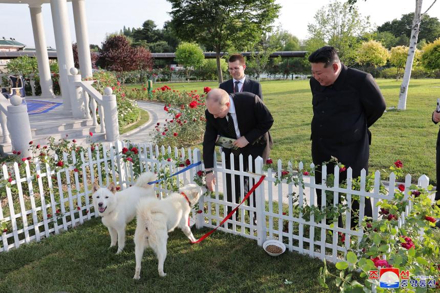 North Korea’s Kim gives pair of dogs to Putin The Straits Times