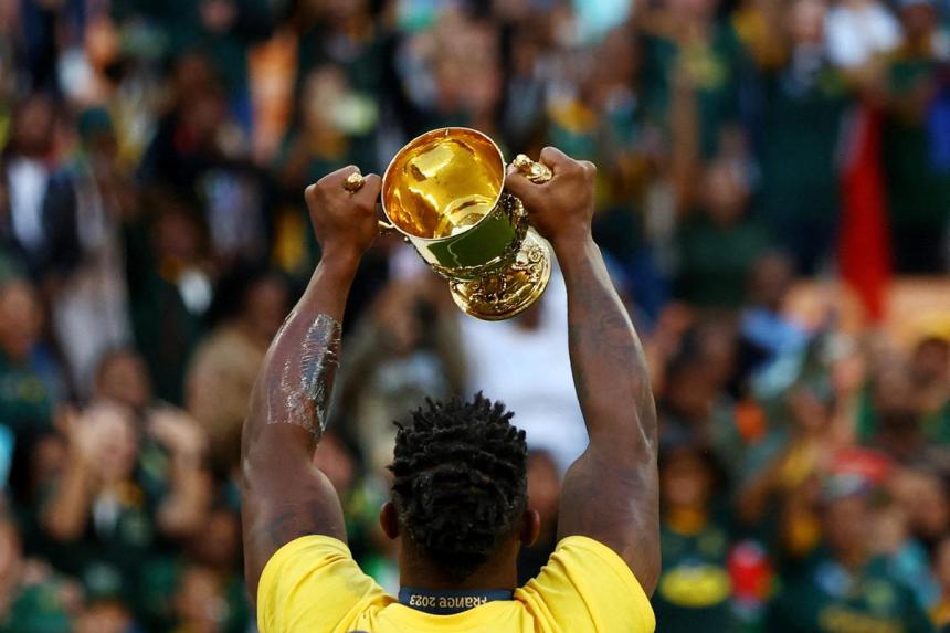 Springboks recall World Cup winners for Ireland series | The Straits Times