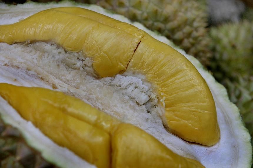Malaysia wants ‘patent’ for its Mao Shan Wang durians