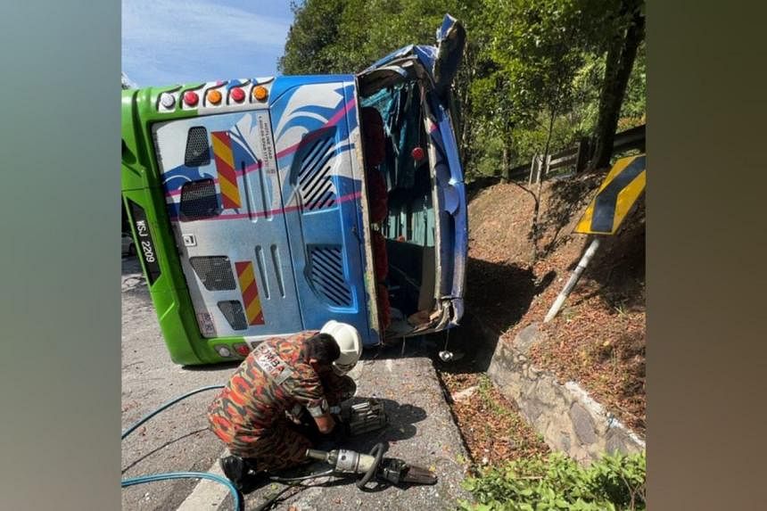 Two Chinese tourists dead after tour bus overturns