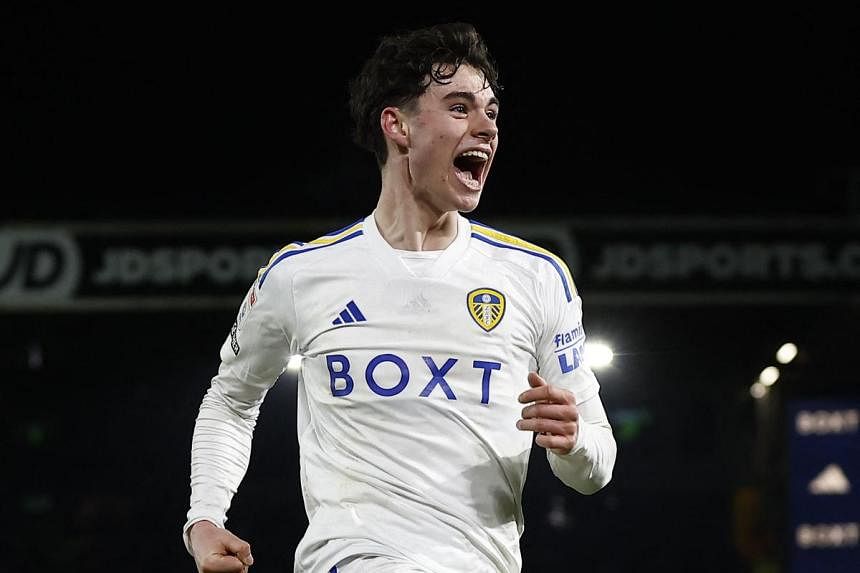 Spurs sign teenager Gray from Leeds
