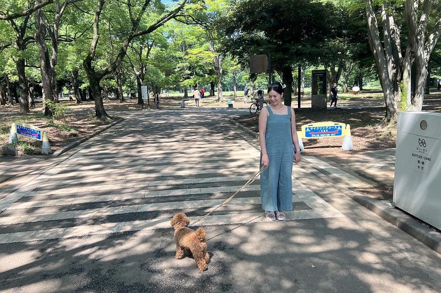 Travel Journal: I rented a dog for  in Tokyo – here’s what it taught me about cute-animal cafes