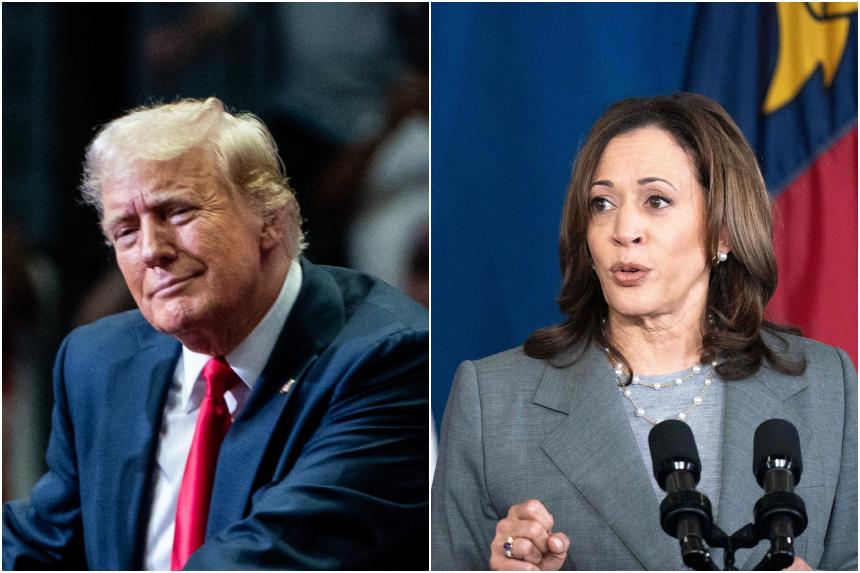 China social media embraces Trump after Harris steps into race | The Straits Times