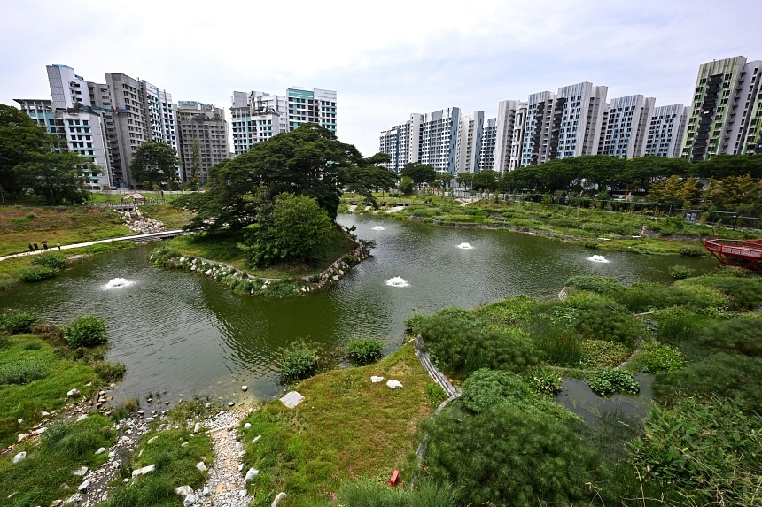 New Hundred Acre Wood-inspired park in Bidadari has a freshwater lake that can prevent flash floods