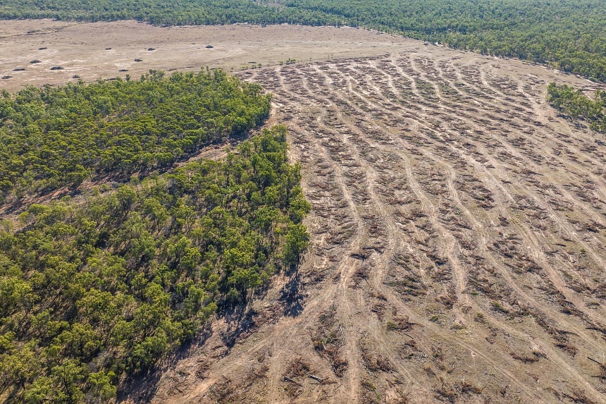 essay on threats to environment