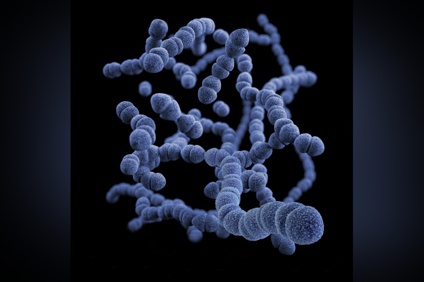 Exquisite Deadly 'superbug' Is Spreading Across Us As Drug Resistance Grows, Researchers Warn Picture for Desktop Exquisite Deadly 'superbug' Is Spreading Across Us As Drug Resistance Grows, Researchers Warn Picture for Desktop