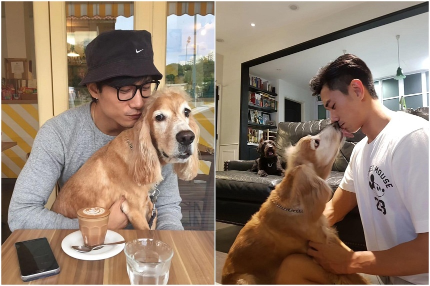 ‘The hardest goodbye’: Actor Desmond Tan mourns death of pet dog Hoshi