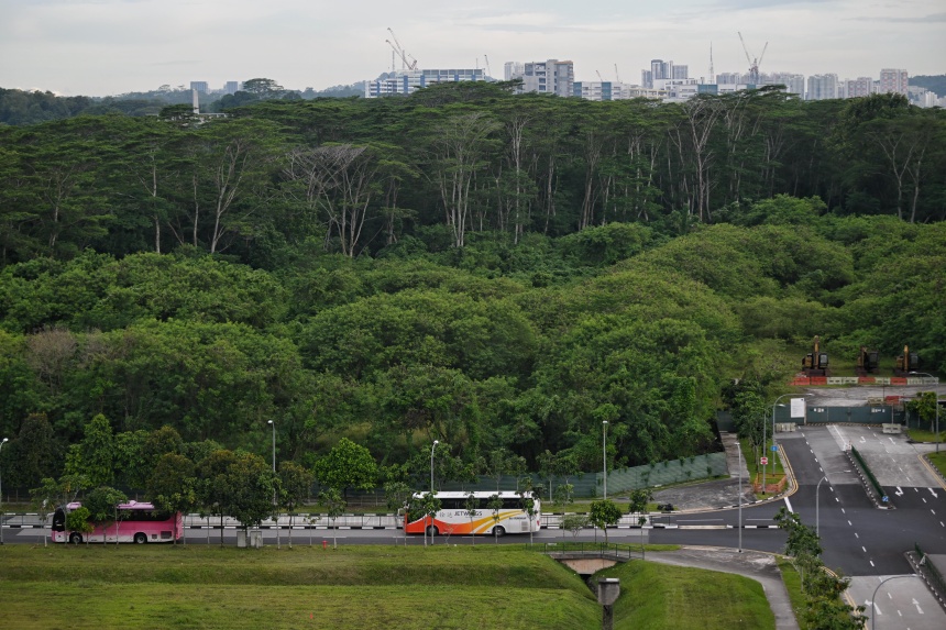 Two key projects to transform Lim Chu Kang into high-tech food hub ...