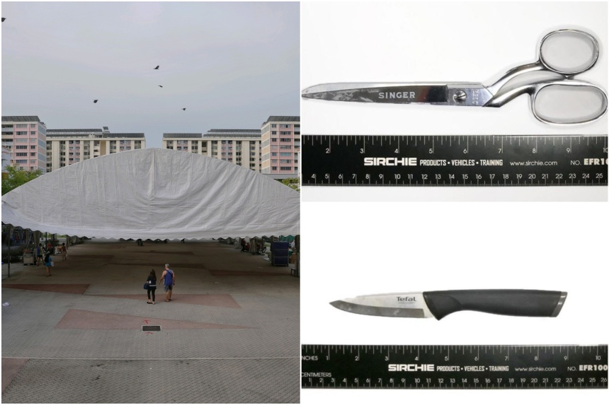 17yearold selfradicalised Singaporean arrested weeks before planned