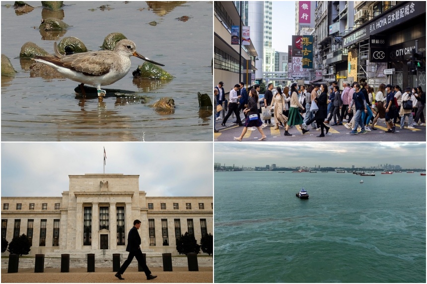 Morning Briefing Top stories from The Straits Times on Oct 21, 2024