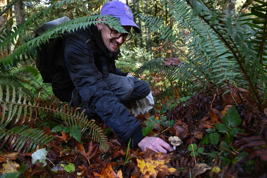 Finding fungi: Mushroom hunters seek new species and recognition | The ...
