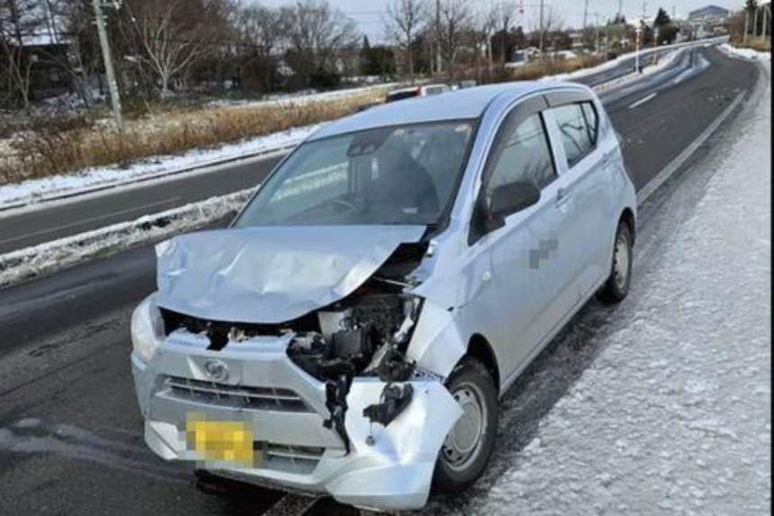Traffic accidents involving deer surge in Hokkaido