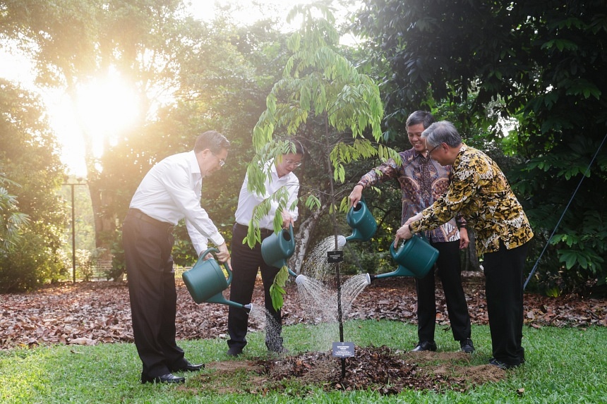 featured image thumbnail for post Persimmon tree planted in Singapore to mark Suzhou Industrial Parks 30th anniversary