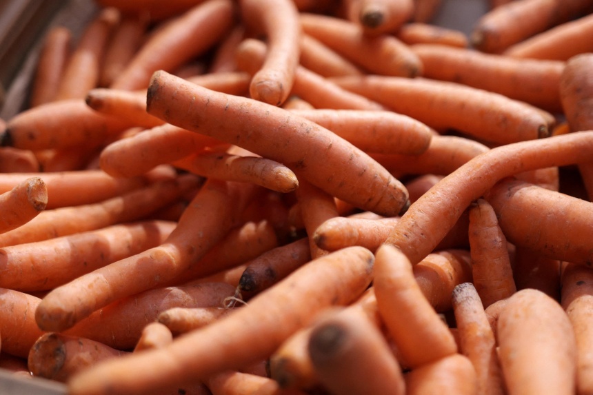 1 dead and dozens ill in E. coli outbreak linked to organic carrots in