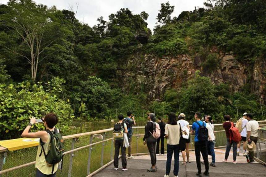 Newly opened Rifle Range Nature Park offers 7km-long trails, rain ...