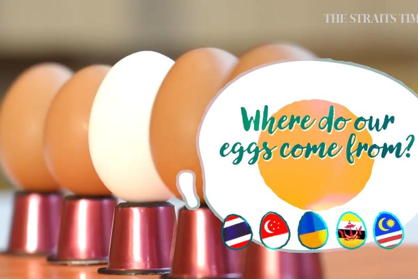 How much do fresh eggs cost in S’pore? Here’s how eggs from 10