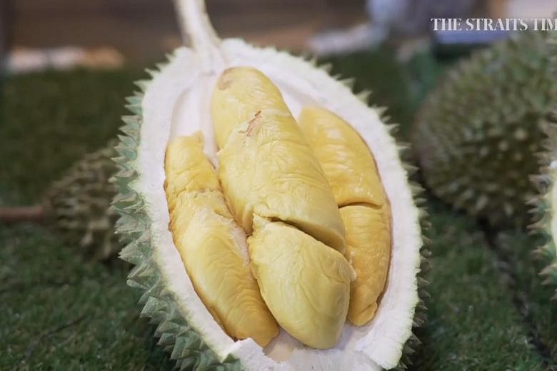 Durian season in Singapore returns with rare varietals The Straits Times