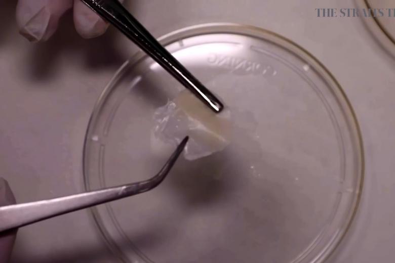 Singapore scientists use printing machine to make 'human skin' The