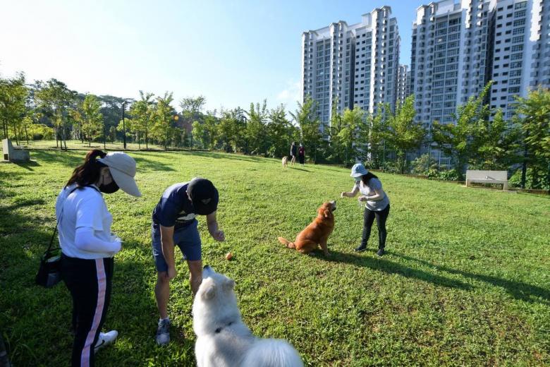 Bukit Gombak Park opens with more gardening spaces, first dog run in the area The Straits Times