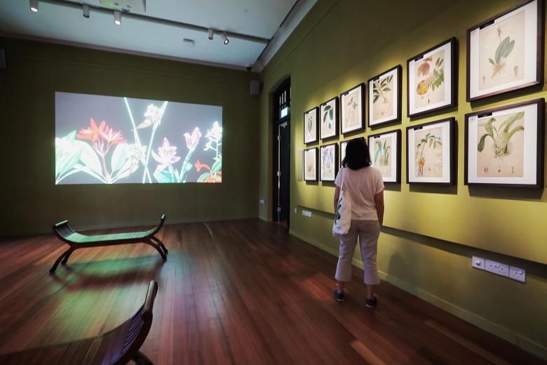 New extension to Botanic Gardens opens, with artwork dating back to colonial period on display