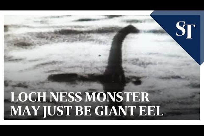 Loch Ness monster might just be a giant eel, say scientists | The ...