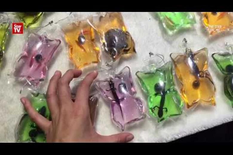 Live animal keychains sold in China despite petitions from animal rights  activists | The Straits Times