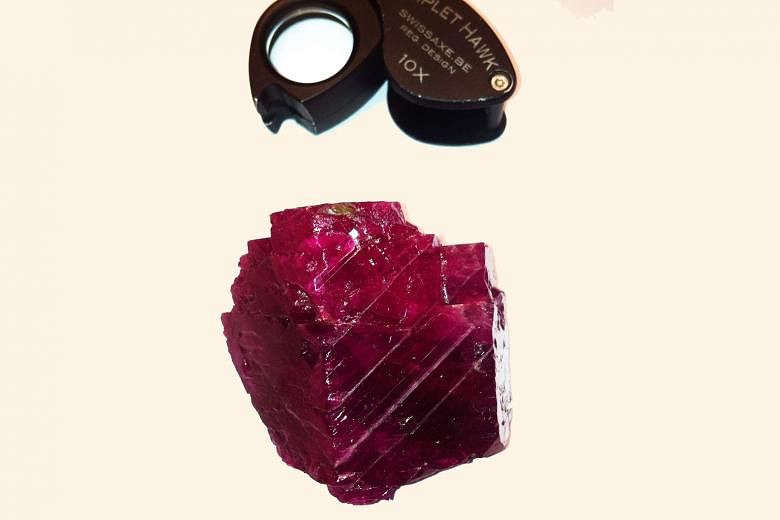 A rare 950-carat Burmese ruby, considered one of the largest of its kind, is on display at Singapore International Jewelry Expo 2015.